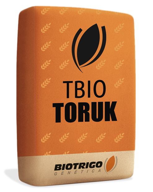 Semente de trigo TBIO TORUK  Tratamento Saluzi 1ml + Vitavax Thiran 2,5ml